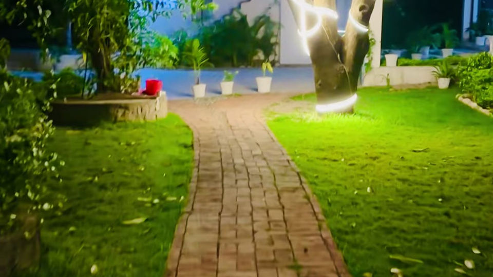 Jardim a noite